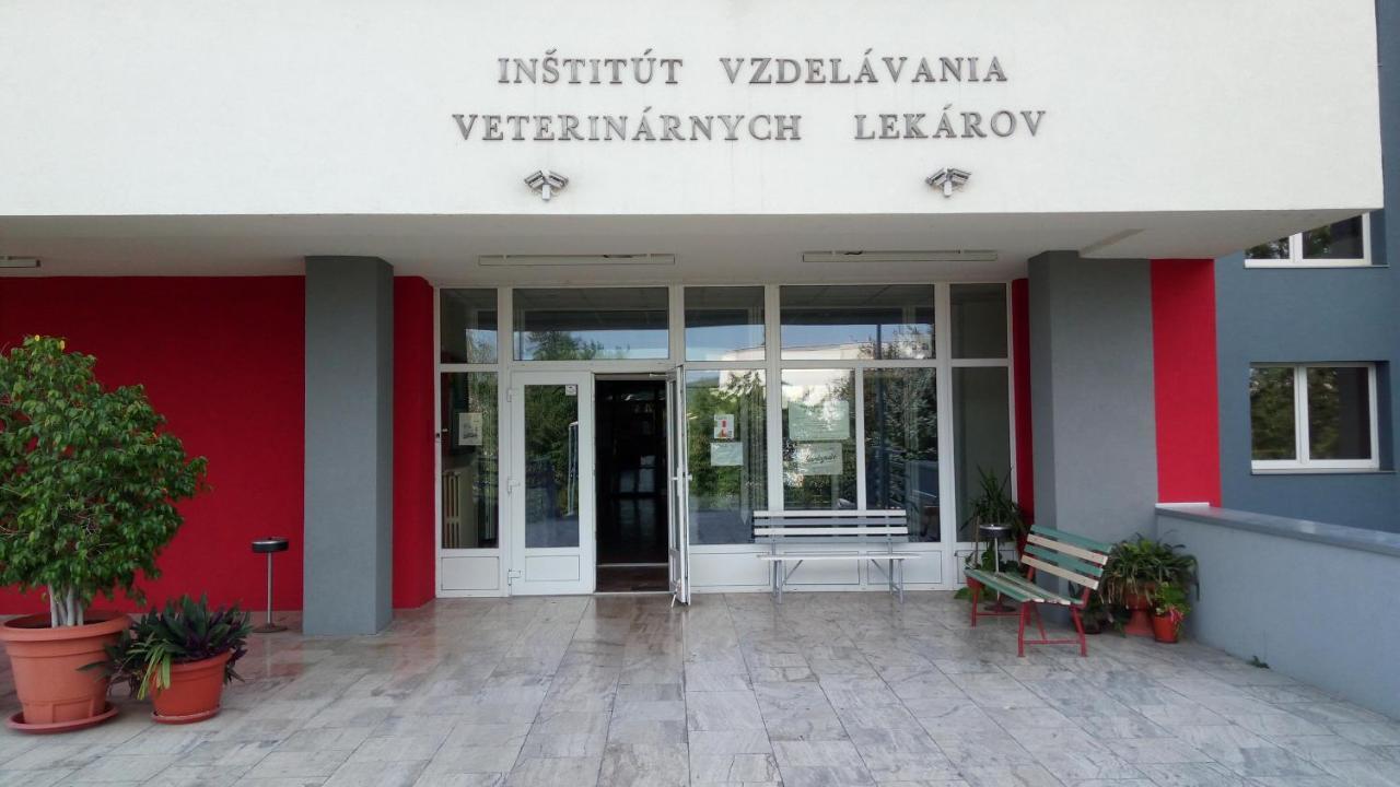 Penzion Institut Košice Exterior foto